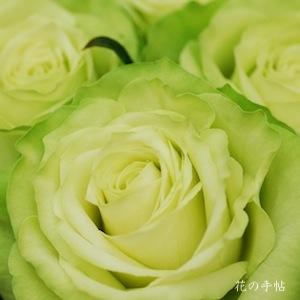 バラ　ミント ティー（Mint Tea）｜花の手帖のバラ図鑑