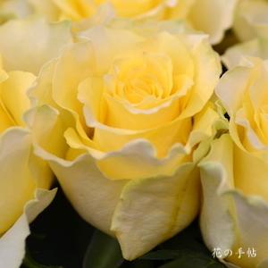 バラ　スペード＋｜花の手帖のバラ図鑑